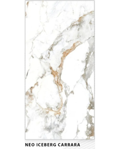 NEO ICEBERG CARRARA 60X120