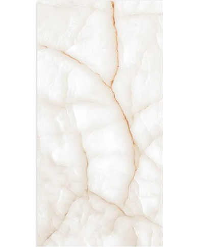 GALAXY WHITE 60X120